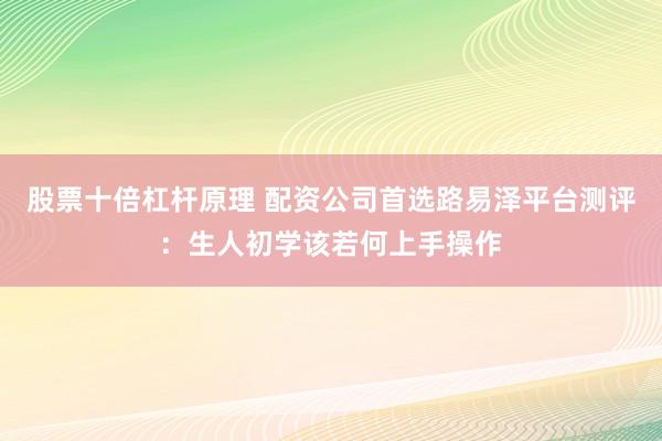 股票十倍杠杆原理 配资公司首选路易泽平台测评：生人初学该若何上手操作